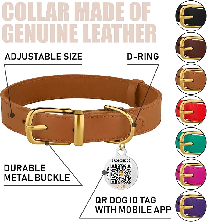 BRONZEDOG Leather Dog Collar with Metal Buckle Durable Basic Pet Collars for Small Medium Large Dogs (14-17 Inch (Pack of 1), Light Brown & Gold Buckle)