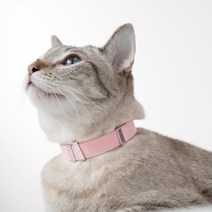 Safety Cat Collar - U.S. IDA Gold Awarding Design, Elastic Quick Release, Non Breakaway - Lightweight for Kitten, Neck Fit 7.8'-15.7' for All Small Large Cat,M(Vivid Red)