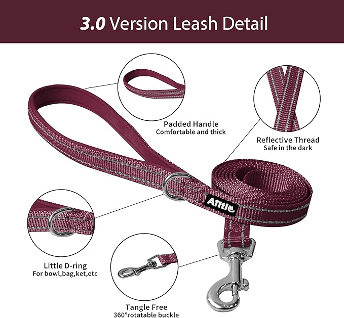 AIITLE Comfortable Dog Harness and Leash Set for Walking - Summer Step in Vest Harness,Reflective Bands, Adjustable No Pull Puppy Essentials, for Small Dogs and House Cats Burgundy XS