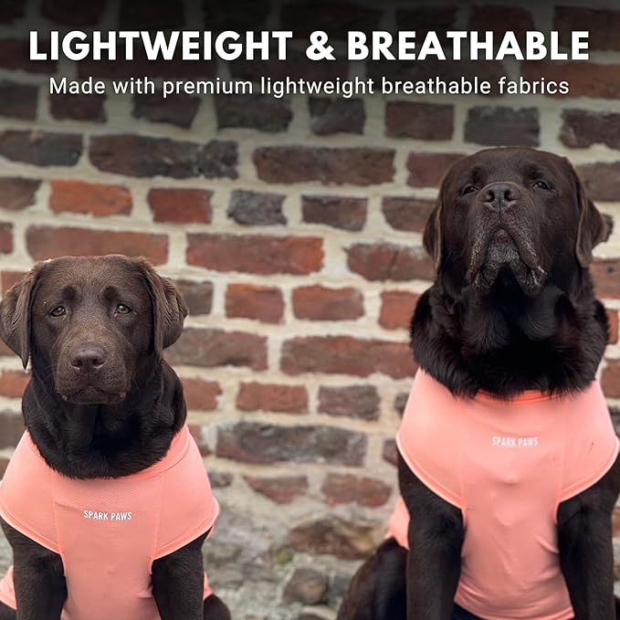 Spark Paws Sunblock Dog T-Shirt, SPF30 Protection, Lightweight Breathable Quick Dry for Dogs with Sensitive Skin - Peach & Mint (Set of 2) - 2XL
