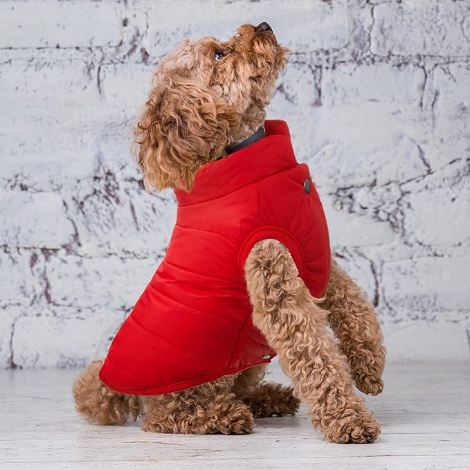 Syhood 2 Pieces Dog Jacket 2 Layers Fleece Lined Dog Jacket Warm Soft Windproof Small Pet Coat for Winter Cold Weather(M,Navy,Red)