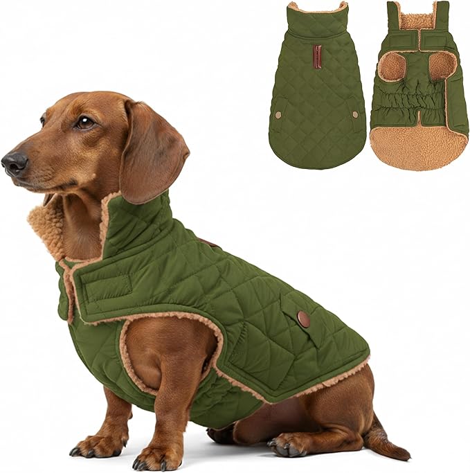 azuza Dog Jacket Waterproof & Windproof Dog Coat for Small Dogs with Thick Fleece, High Collar with Leash Hole, Adjustable Velcro & Elastic Belly, Army Green XL