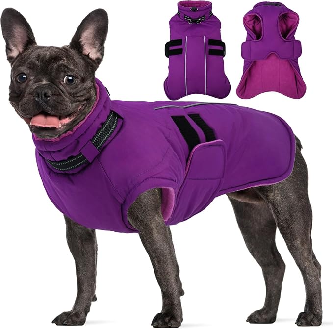 Large Dog Jacket, Waterproof Winter Coat with Harness Built in, Reflective Adjustable Hook&Loop Dog Snowsuit Cold Weather, Warm Snow Coat for Dogs French Bulldog, L Purple