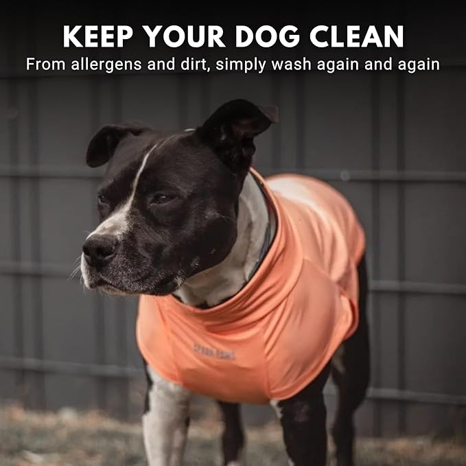 Spark Paws Sunblock Dog T-Shirt, SPF30 Protection, Lightweight Breathable Quick Dry for Dogs with Sensitive Skin - Purple & Peach (Set of 2) - 4XL