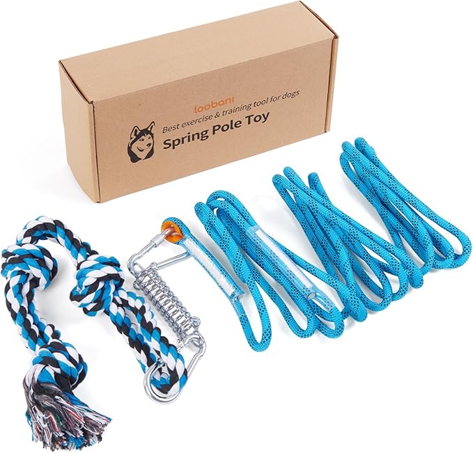 LOOBANI Spring Pole Toy for Pitbull: Bungee Tug of War Toys for Small Large Aggressive Chewers Dogs to Exercise & Muscle Building & Bite Training,Outdoor Heavy Duty Bungee Solo Tree Tugger Hanging Toy