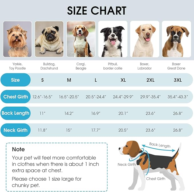 Queenmore Dog Winter Jacket, Fleece Lining Pet Vests for Winter, Dog Cold Weather Coats, Dogs Coat for Medium Puppy Waterproof, Pet Snowsuit with Leash Hole, Blue, M