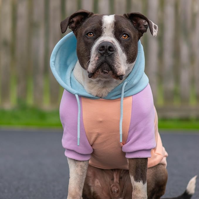 Spark Paws Dog Hoodie – Premium Dog Sweater for Small, Medium, and Large Dogs | Warm Outfits for French Bulldogs, Pitbull, Puppy, Winter Jacket Alternative - Cotton Candy - L