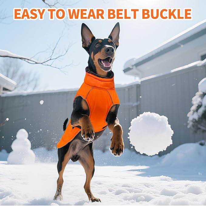 DENTRUN Medium Dog Winter Jacket - Warm Reflective Windproof Coat, Adjustable Neck & Snap Closure, Water Repellent Thick Fleece Vest, Fleece Lined for Beagle Pug, Orange, M