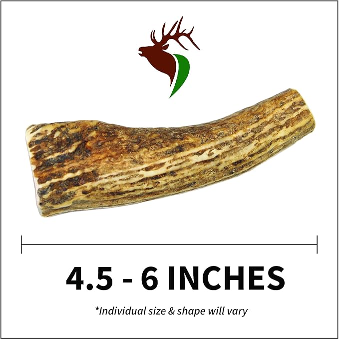 Small Whole Single Pack (for 10-30 lb Dogs and Puppies) Premium Grade Elk Antler for Dogs (1 Piece) Sourced in The USA