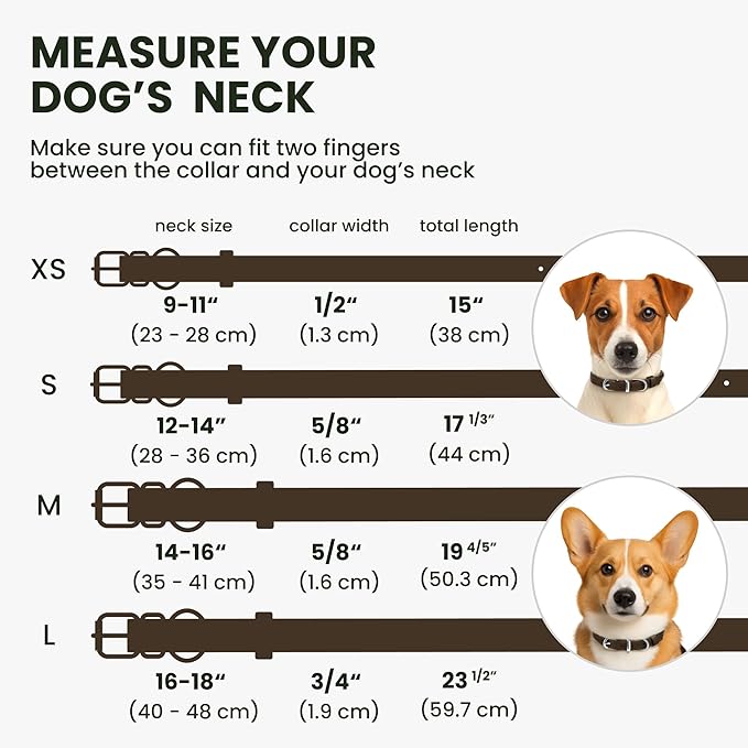 BRONZEDOG Rolled Leather Dog Collar for Small Medium Large Dogs with QR ID Tag (XS: 9-11 Inch, Coffee Brown)