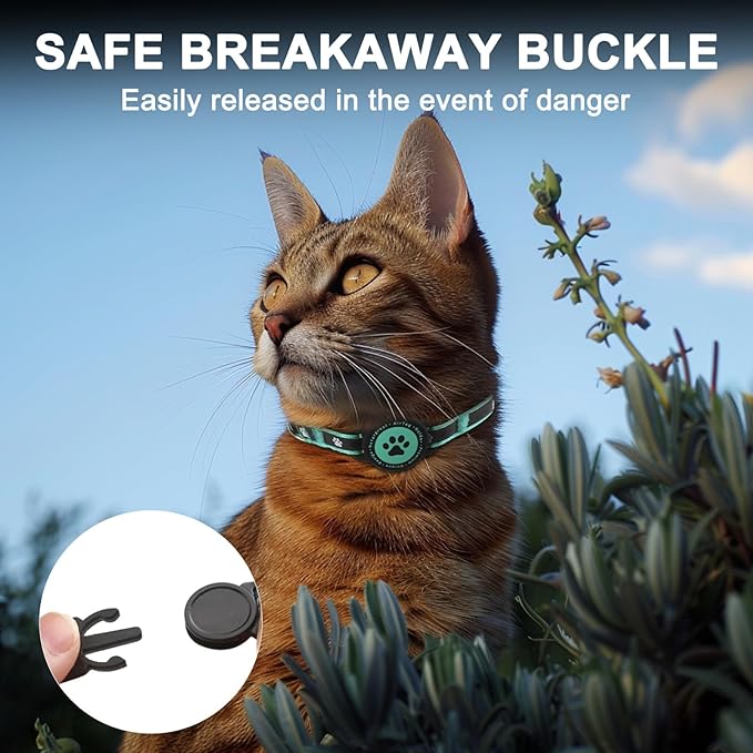 Airtag Cat Collar Breakaway, Reflective Cat Collar with AirTag Holder and Bell, Compatible with Apple Air Tag, Comfortable Padding, Adjustable, Durable (Turquoise, XS)