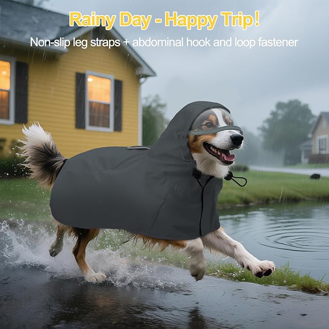 DENTRUN Dog Rain Jacket for Poodle, Bichon – Breathable Mesh Lined, No-Sleeves Easy Wear – Perfect for Rainy Day Walks, Park Visits, Travel, M