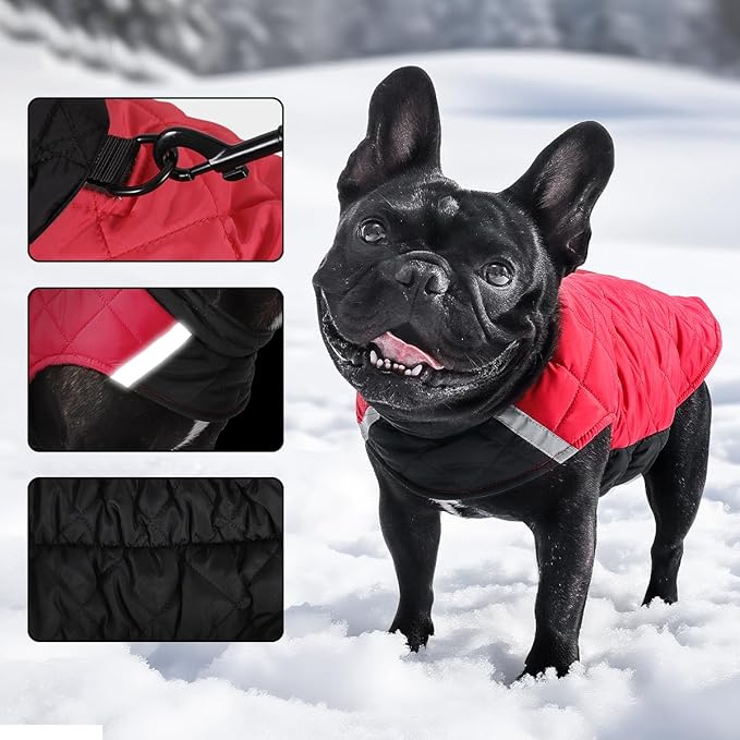 Reversible Waterproof Dog Coat - Adjustable Winter Jacket for Small to Large Breeds, Warm Cold Weather Apparel for Medium Dogs (Red & Black, Small (Pack of 1))
