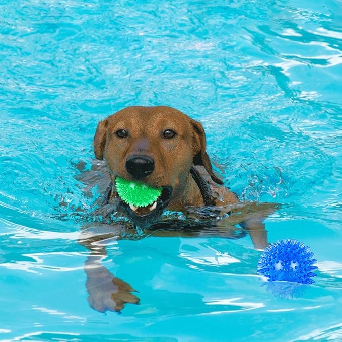 Dog Balls Pet Toys for Small Medium Dogs Clean Teeth and Training Squeaky Balls(3 Pack)