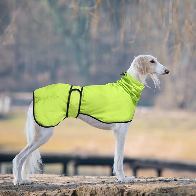 Dog Raincoat with Reflective Bar, Rain/Water Resistant, Adjustable Vest - Dog Raincoats for Greyhounds, Lurchers and Whippets - Light Green - XXXL