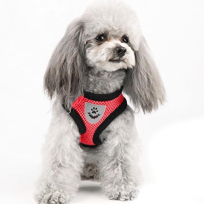 shudyear Summer cat Chest Harness and Leash, Anti-Escape Adjustable Soft mesh cat Leash and Chest Harness Set for All Types of Cats cat Vests(Size XL,Red)