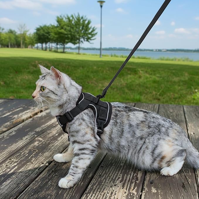 Cat Harness and Leash Set Escape Proof Tactical Small Kitten Harness Emotional Support Cat Vest, Black, S