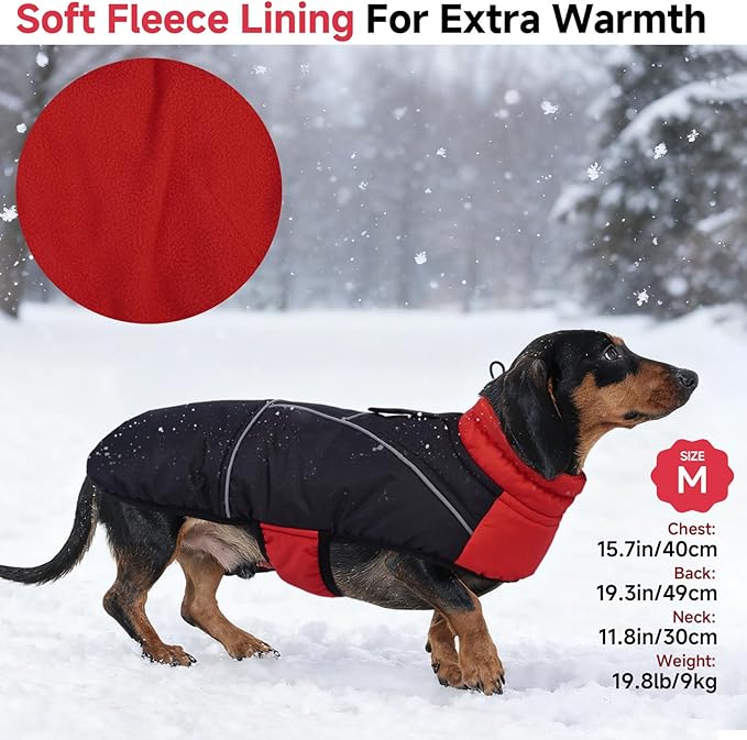 DORA BRIDAL Dachshund Coat, Fleece Lined Dog Winter Coat, Warm Dog Coats with Reflective Strips, Adjustable Waterproof Pet Jacket Clothes, XL