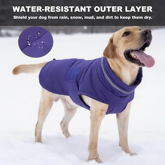 Dog Coat, Waterproof Winter Jacket, Warm Windproof Jacket, Reflective Adjustable Turtleneck Coats for Medium Dogs with Hook & Loop - Purple - M