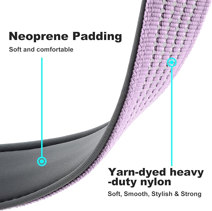 Plutus Pet Reflective Dog Collar with Aviation Aluminum Buckle, Neoprene Padded for Comfort, Lightweight, Heavy Duty Nylon Collar for Puppy Small Medium Large Dogs (Lilac Purple, L)