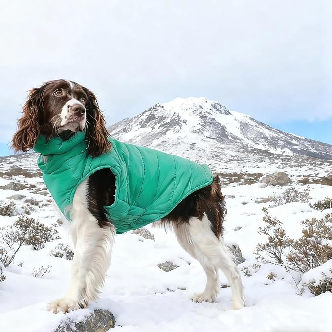 Dog Puffer Vest for Large Dogs, Dog Winter Coats with Back Zipper, Outdoor Warm Dogs Snow Jacket Camping Jacket with Detachable Neck,Doberman, Great Dane, Green 3XL