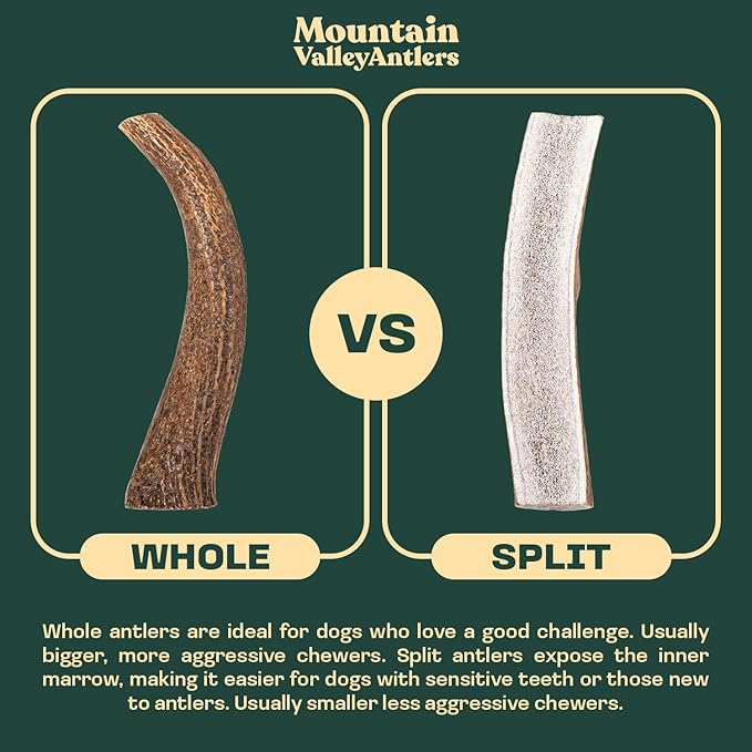 Mountain Valley Elk Antlers for Dogs - 100% Natural & Organic Chew for Aggressive Chewers, No Odor, No Mess, Long Lasting - Wild-Foraged Naturally Shed Antlers in USA - Grade A, Split Small (3 Pack)