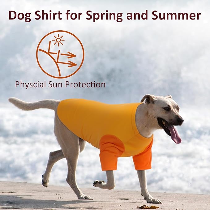 2 Pack Large Dog T-Shirts 3XL - Breathable Durable Cotton Shirt, Shedding Control Protect Skin Dogs Clothes for Husky, Labrador, Summer Hot Day Sleep, Walk, Sea, Park Play, Camping, Orange