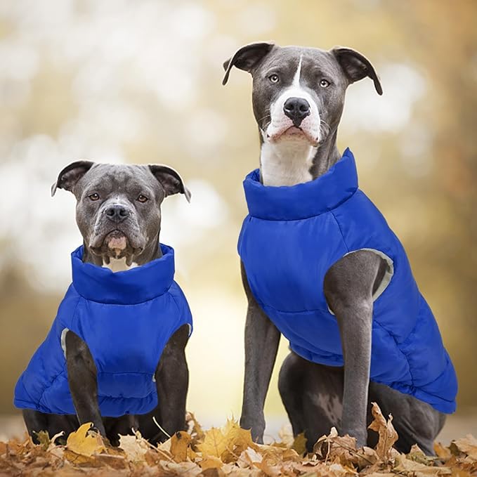 Kuoser Dog Coat Puffer Vest, Warm Dog Jacket Windproof Dogs Cold Weather Coats Pet Snowsuit Padded Vests, Lightweight Puppy Winter Clothes for Small Medium Dogs, Button Design, Easy On/Off, Blue M