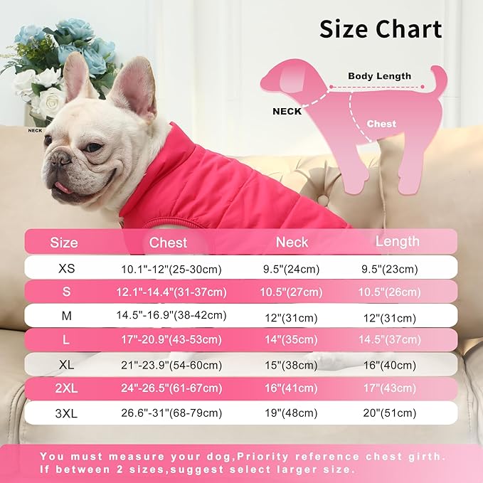 2 Layers Fleece Lined Warm Dog Jacket for Puppy Winter Cold Weather,Soft Windproof Small Dog Coat,Pink XS