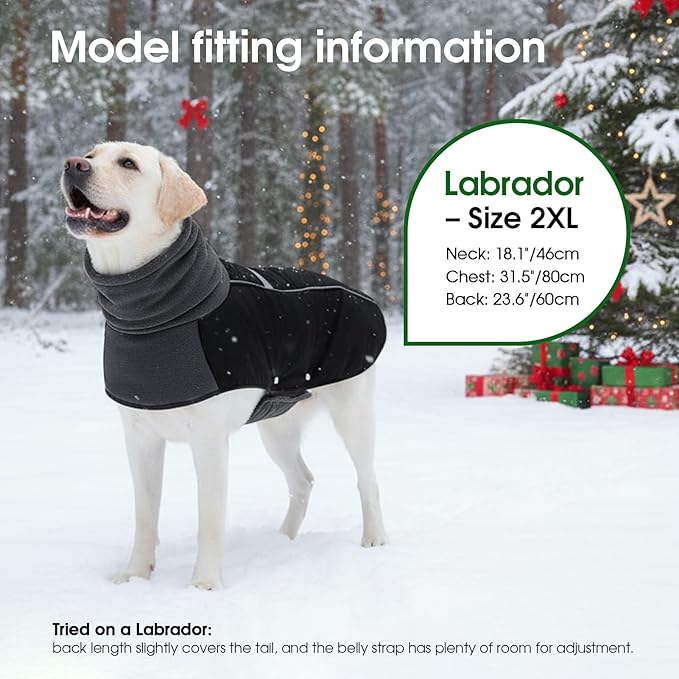 ASENKU Dog Coat, Dog Winter Jackets with Fleece Turtleneck, Windproof, Reflective Pet Snow Jacket Doggie Vest for Cold Weather, Coats for Medium Dogs, Black, M