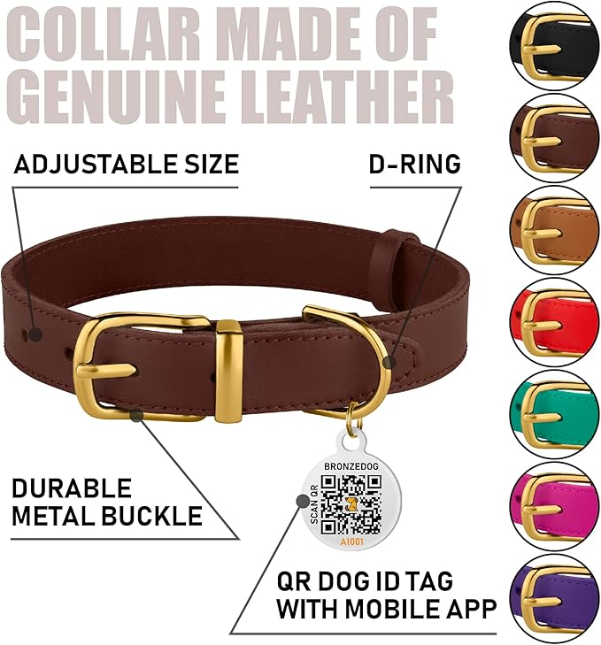 BRONZEDOG Leather Dog Collar with Metal Buckle Durable Basic Pet Collars for Small Medium Large Dogs (11-13 Inch (Pack of 1), Dark Brown & Gold Buckle)