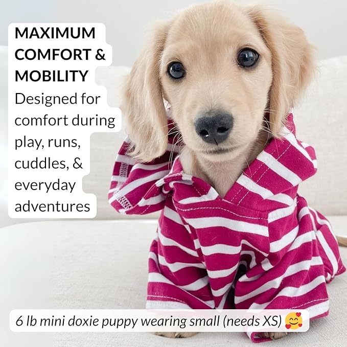 DJANGO Dog Hoodie – Warm, Lightweight, Soft & Stretchy Dog Sweater with Hood, Harness Hole & Elastic Waistband – Cozy Sweatshirt for Small Dogs up to 25 lbs, Dachshunds & Puppies – Boysenberry, Small