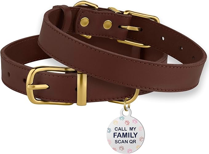 BRONZEDOG Leather Dog Collar with Metal Buckle Durable Basic Pet Collars for Small Medium Large Dogs (11-13 Inch (Pack of 1), Dark Brown & Gold Buckle)
