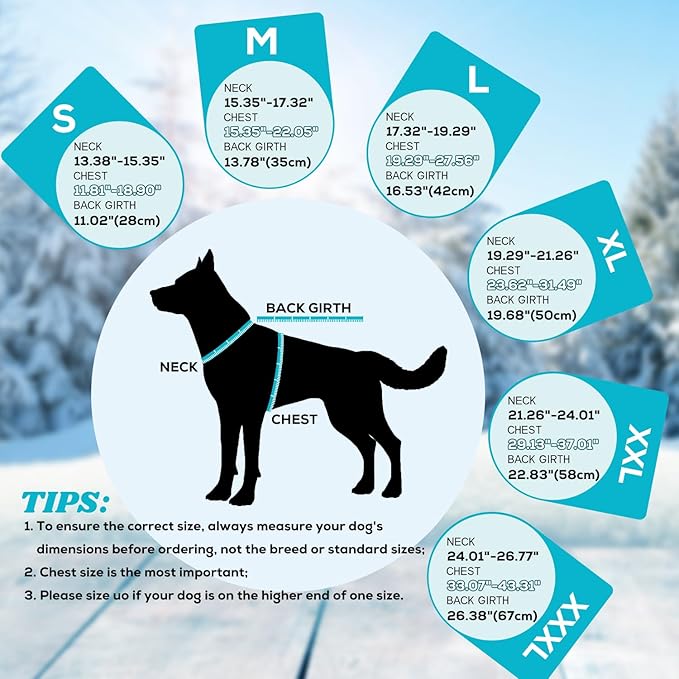 EMUST Dog Coat Winter, Waterproof Pet Snow Jacket for Winter, Adjustable Small/Medium/Large Dog Coat, Turquoise, L