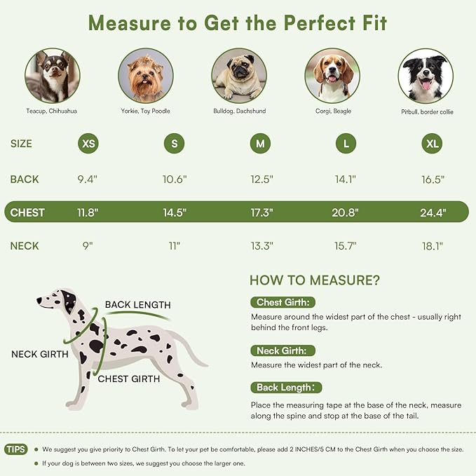 Queenmore Small Dog Sweater, Knitted Pullover Puppy Sweater,Cold Winter Pet Sweaters for Dog Girls Boys, Soft Turtleneck Knit Sweater with Leash Hole,Long Sleeves Christmas DogSweater(Green,S)