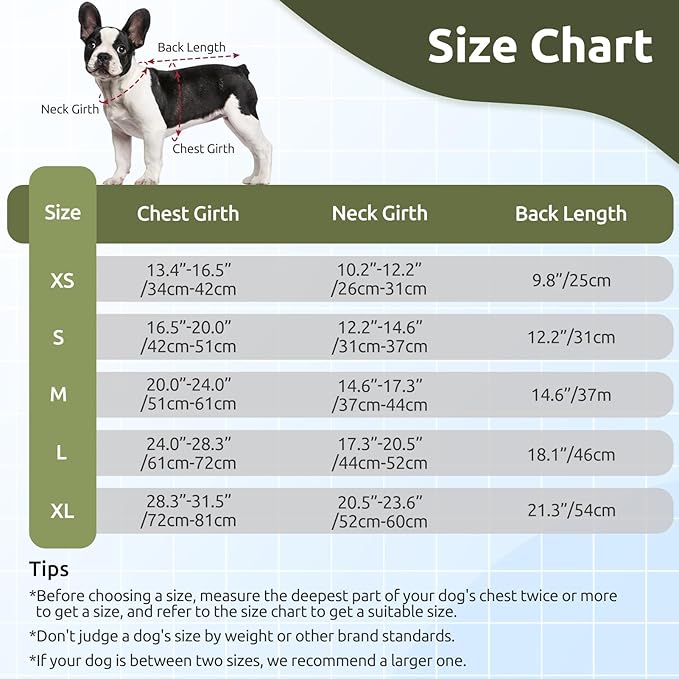 ASENKU Warm Dog Winter Coat, Waterproof Dog Coat for Cold Weather, Fleece Dogs Jacket with Ultra Thick Plush Lining Leash Hole Storage Pockets for Medium Large Dogs (Green, Large)