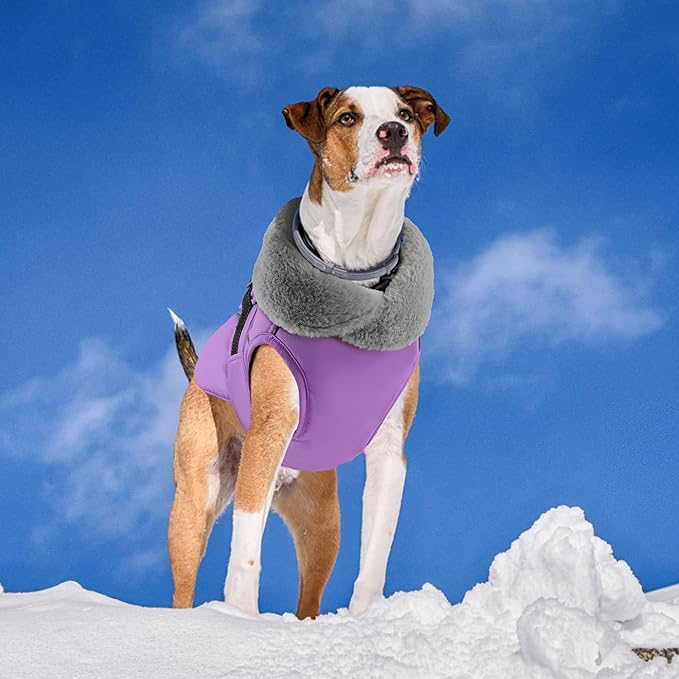 PETDSH Dog Coat Small, Windproof Dog Jacket with Warm Fleece Lining, Thickened Collar Dogs Winter Coat, Adjustable Reflective Pet Coats for Cold Weather (Purple, Small)
