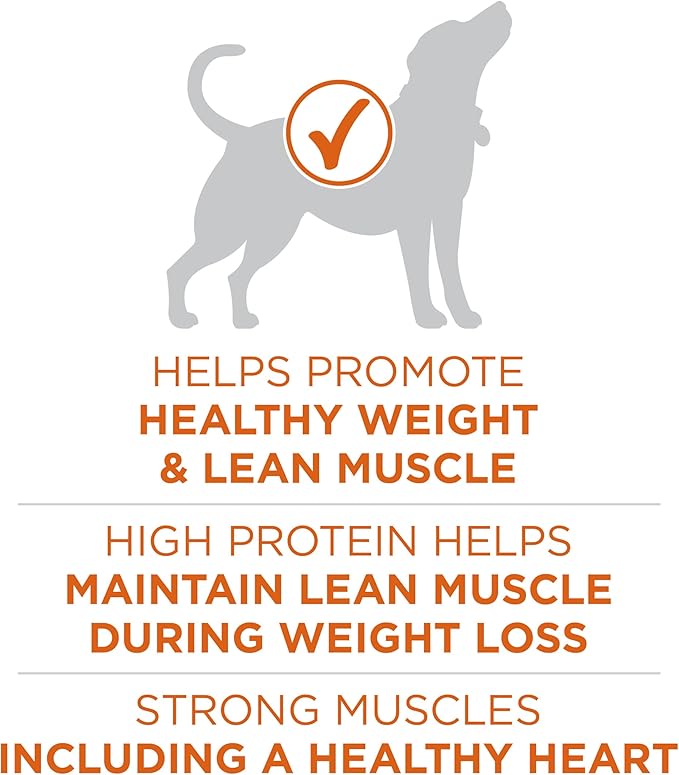 Purina One +Plus Dry Dog Food High Protein Healthy Weight, Real Turkey - 40 lb Bag
