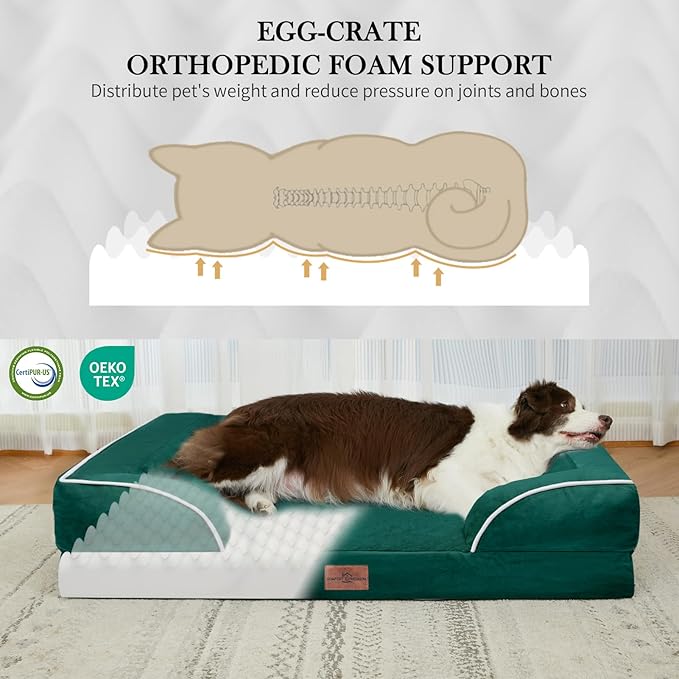 Comfort Expression Orthopedic Dog Bed for Small Dogs 20x14 Inch, Waterproof Supportive Egg Crate Foam Small Pet Bed with Removable Bolsters, Dog Couch with Washable Cover & Non-Slip Bottom, Emerald