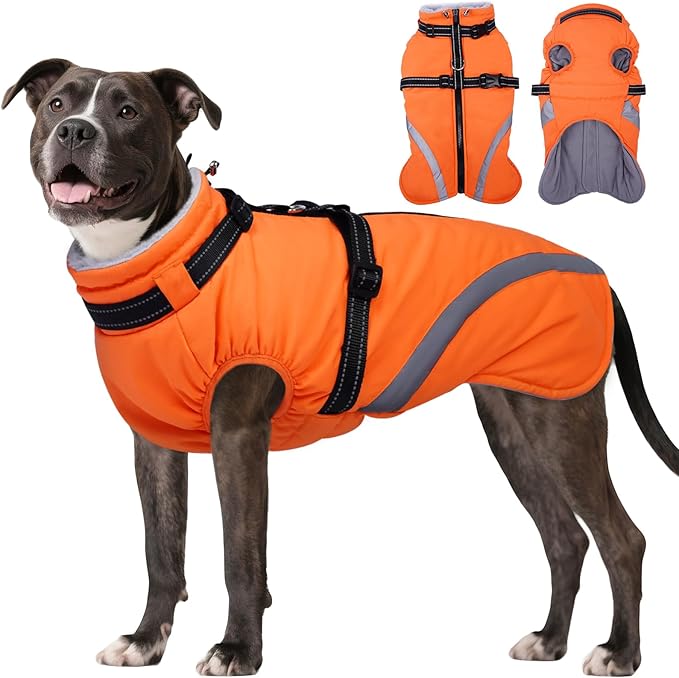 BRKURLEG Dog Winter Jackets for Medium Dogs, Dog Coat with Harness Built in, Dogs Snowsuits with Zipper, Waterproof Windproof Pet Puffer Jacket Fleece Vest for Beagle, Pug, Orange L