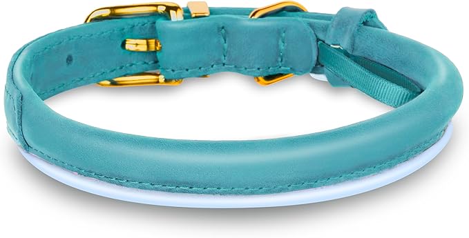 OOPSDOGGY Reflective Rolled Leather Dog Collar Adjustable Soft Padded Pet Collar for Small Medium Large Breed Dogs (Teal, XXS, 7"-9")