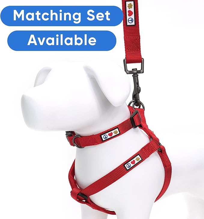 Pawtitas Extra Extra Small 6 FT Red Solid Color Leash for Miniature Dog, Cat, Puppy Training