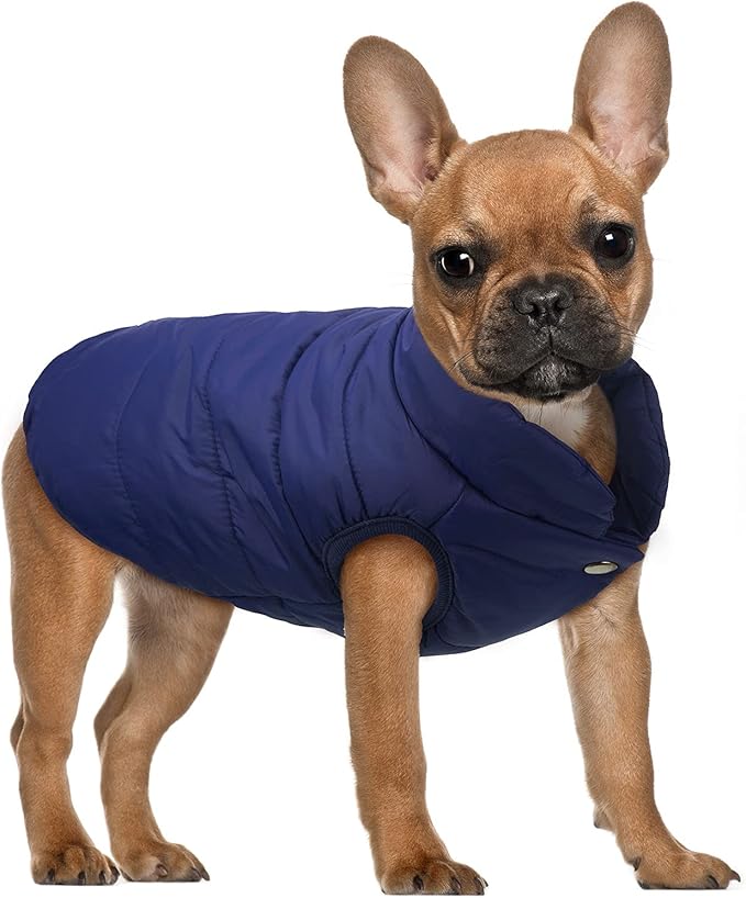 Syhood 2 Pieces Dog Jacket 2 Layers Fleece Lined Dog Jacket Warm Soft Windproof Small Pet Coat for Winter Cold Weather(L,Navy,Red)