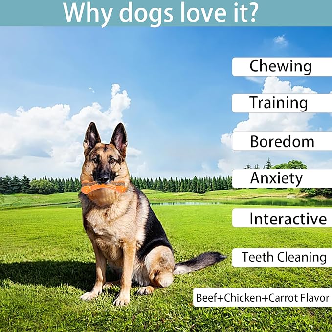 Dog Bones Chew Toys for Aggressive Chewers Large Breed, 2 Pack Real Beef Flavor,Indestructible Teething Chew Toys for Large/Medium/Small Breed,Tough Toy with Durable Nylon