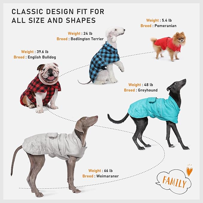PAWZ Road Dog Winter Coat with 5 Layers Warm Material, Reversible Dog Clothes with 2 Sides, Dog Jacket Outdoor Water Repellent, (Blue Plaid S)