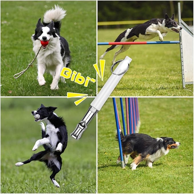 White Dog Whistle to Stop Barking Neighbors Dog,Adjustable Ultrasonic Silent Dog Whistle