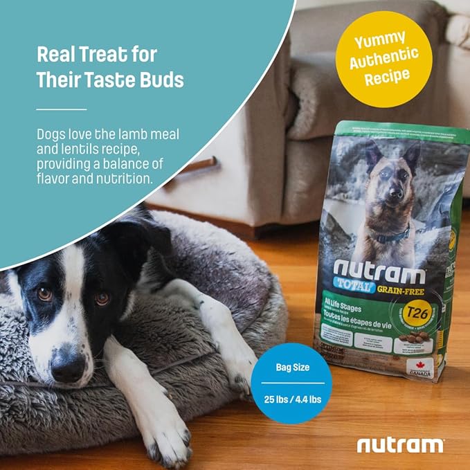 T26 Grain-Free Lamb & Lentils Dry Dog Food | High Protein, Chicken-Free Kibble with Pumpkin, Flaxseed & Salmon Oil | Easily Digestible, Allergy-Friendly for Puppies, Adults & Seniors (4.4 LBS)