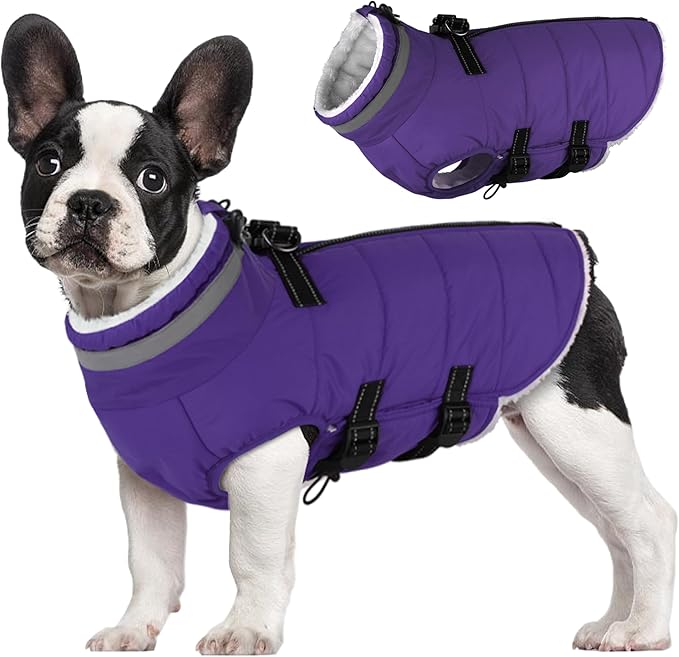 Large Dog Coat with Harness Built-in, Waterproof Reflective Fleece Lined - Warm Windproof Winter Jacket with Back Zipper, Cold Weather Snow Dog Coats - Purple - 2XL