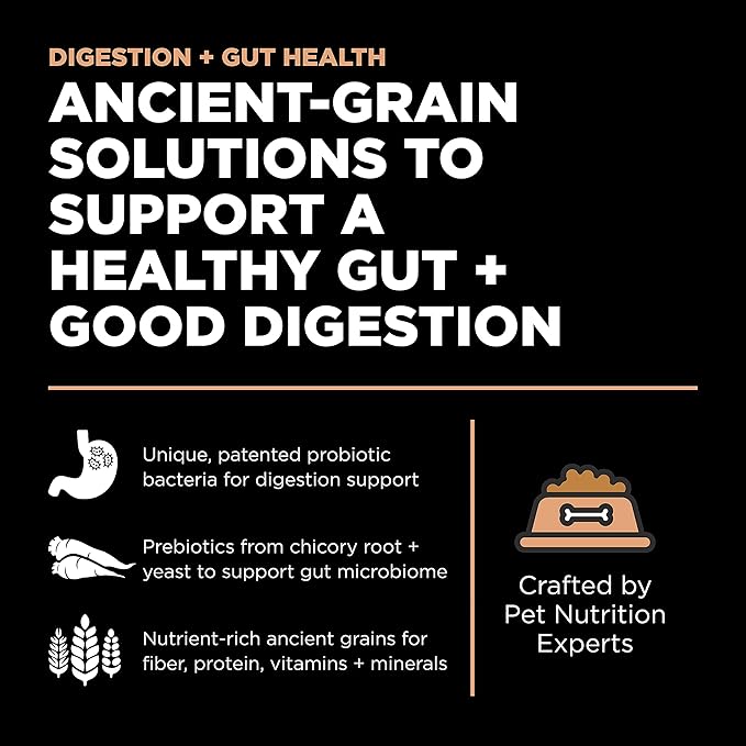 Go! Solutions Digestion + Gut Health, Dry Dog Food, Salmon Recipe with Ancient Grains, 12 lb Bag