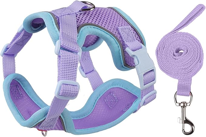 Cat Harness and Leash Set for Walking – Escape-Proof Reflective Vest for Cats and Small Dogs, Adjustable Soft Air Mesh with Pressure-Reducing Design, 4.92ft (Blue & Purple, S)